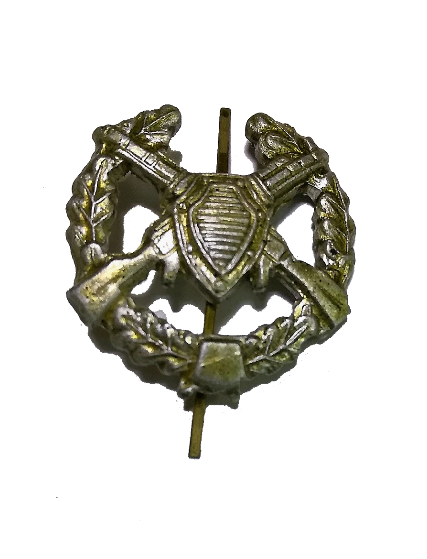 Петличный знак ПВ старого образца, защитный 