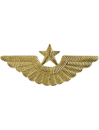 Эмблема на тулью ВВС старого образца, времен СССР (5-1-031)