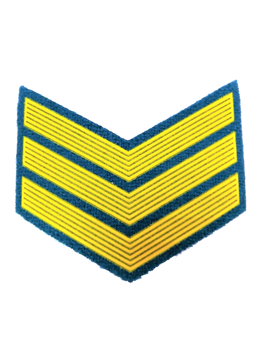 Шеврон (курсовка) 3 курс, пластизоль, голубой (7-3-038)